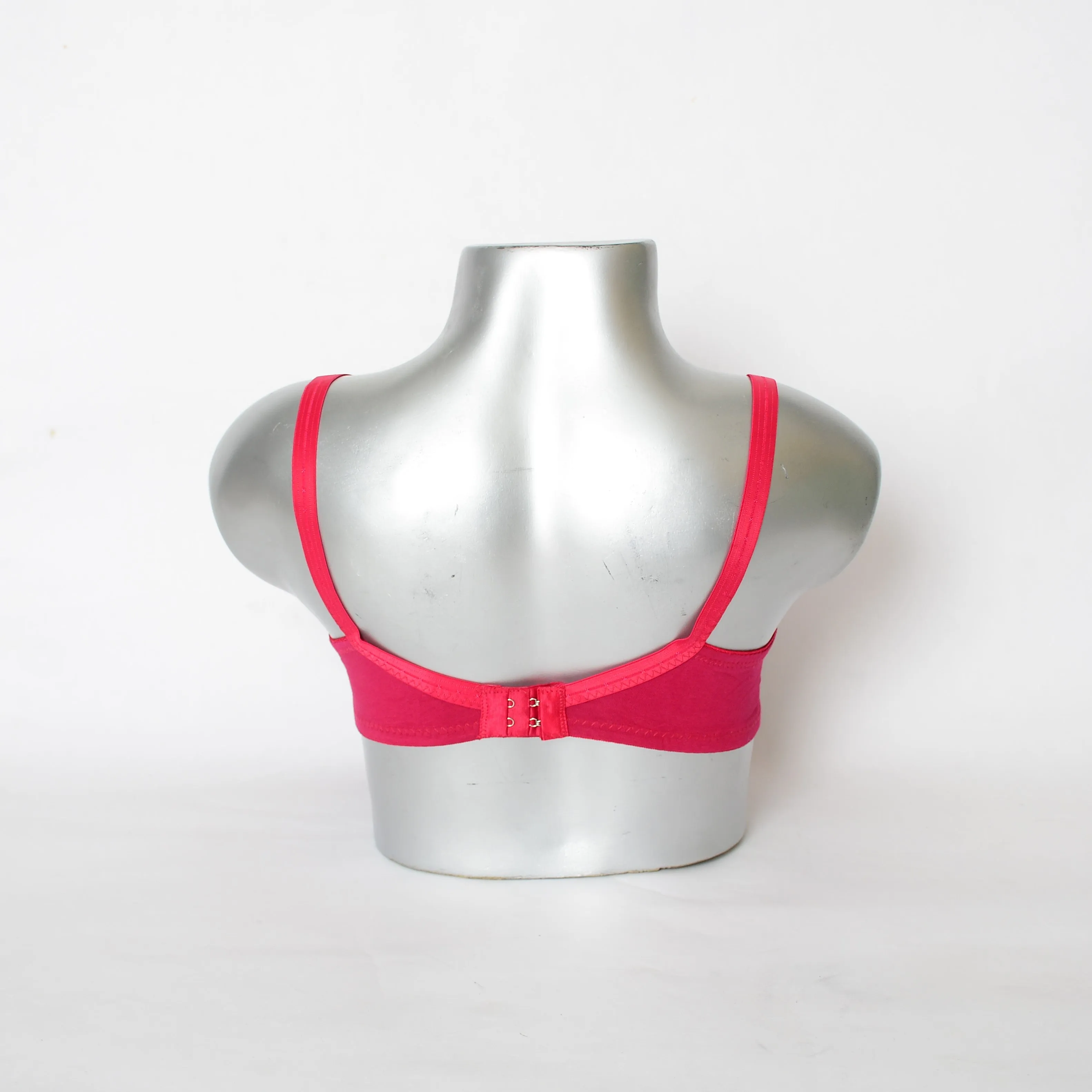 Extra Light Pad Embroidered Lace Everyday Bra (Art-021)