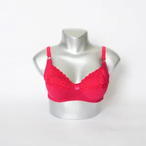 Extra Light Pad Embroidered Lace Everyday Bra (Art-021)