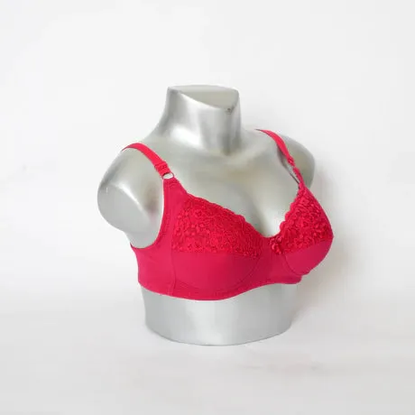 Extra Light Pad Embroidered Lace Everyday Bra (SS-028)