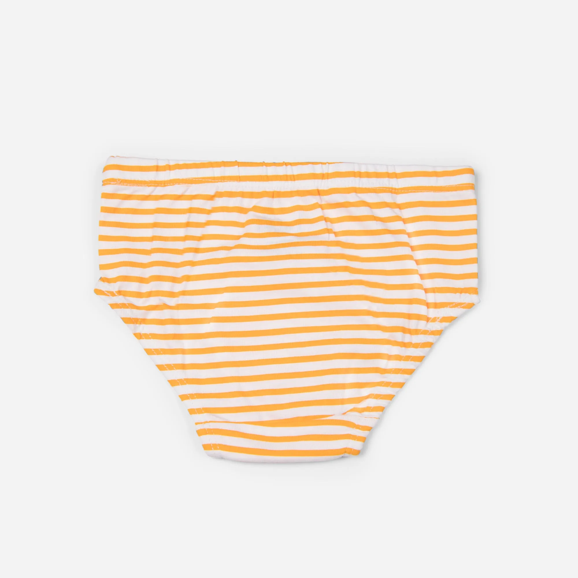 Organic Cotton Boys Brief - Stripes
